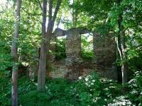 Fałków- ruiny zamku lub dworu z pocz. XVII w.