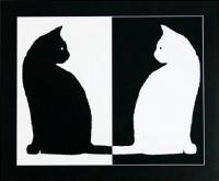Czarno- biale koty są podobno z bajki