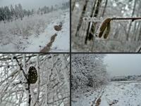 Bajkowa, zimowa kraina