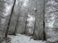Bajkowa, zimowa kraina