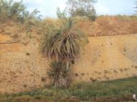 Mur obronny w Chanii