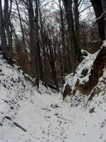 Rezerwat Barania Góra, Ciosowa Góra - zimowy spacerek 