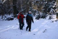 28-01-2012 Zimowy spacer po Suchedniowsko-Oblęgorskim Parku Krajobrazowym, czyli sobotnia wędrówka z „deptaczami Darka” 